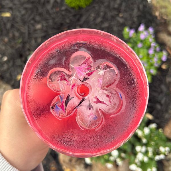 Edible Flowers - Rose Buds