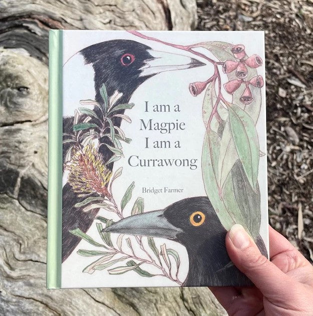 I am a Magpie I am a Currawong