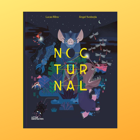 Nocturnal : Animals After Dark