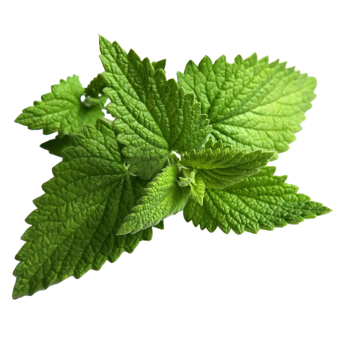 Peppermint oil