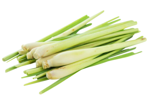 Lemongrass